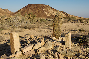 丹特港口查詢_dante港口代碼_索馬里丹特港口代碼
