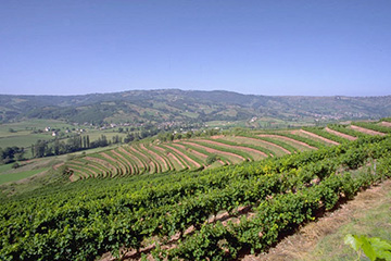 瓦利斯和富圖納群島瓦利斯島機場三字代碼(WLS),瓦利斯島機場(Wallis Hihifo airport)四字碼,瓦利斯和富圖納群島機場三字碼查詢